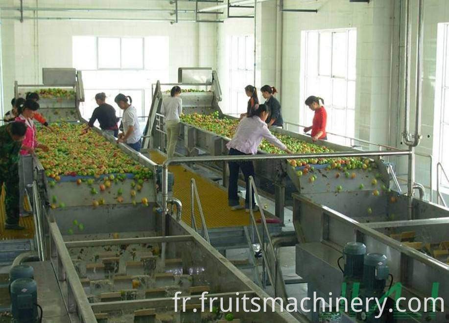 stainless steel fruit apple / orange /guava jam / puree processing machine